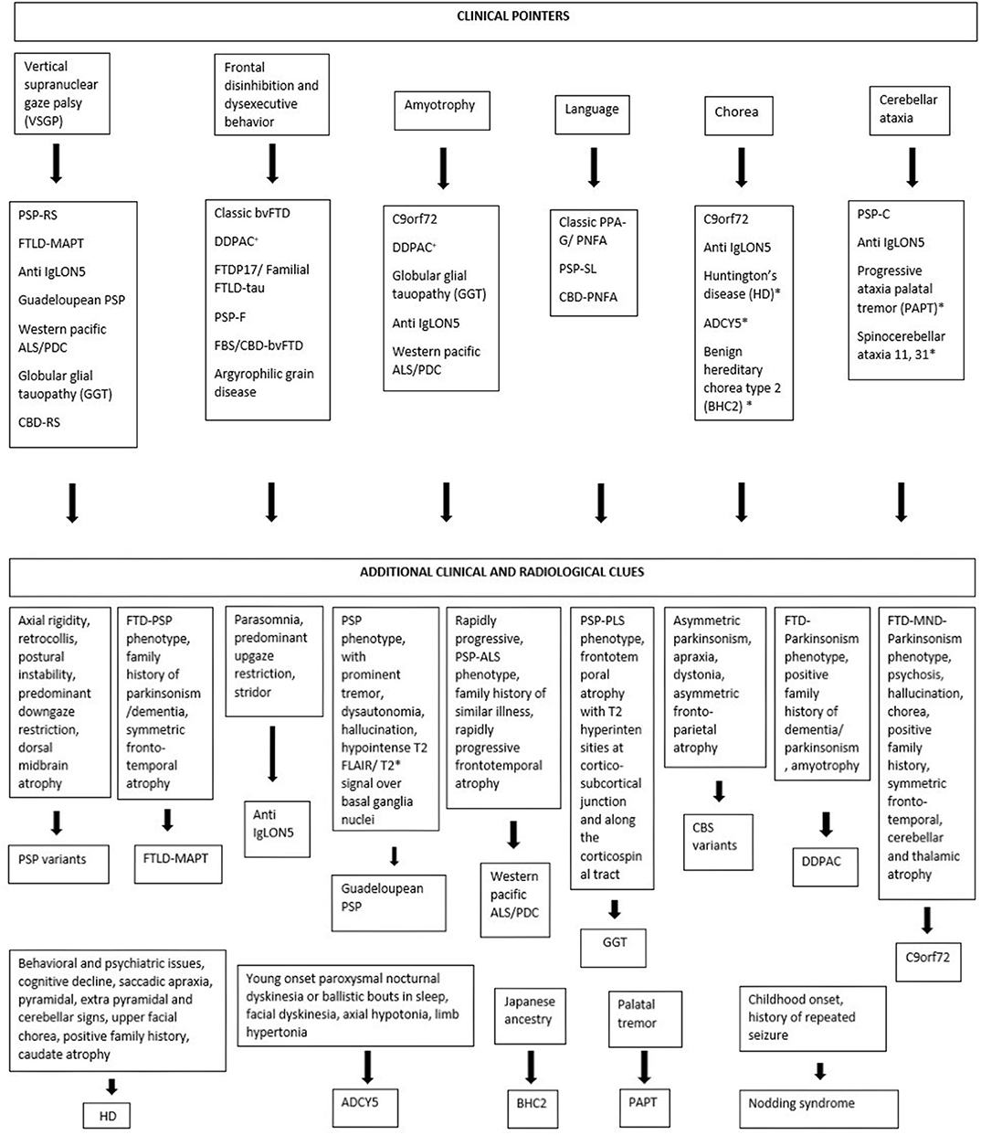 Frontiers Tauopathy And Movement Disorders Unveiling The Chameleons And Mimics Neurology
