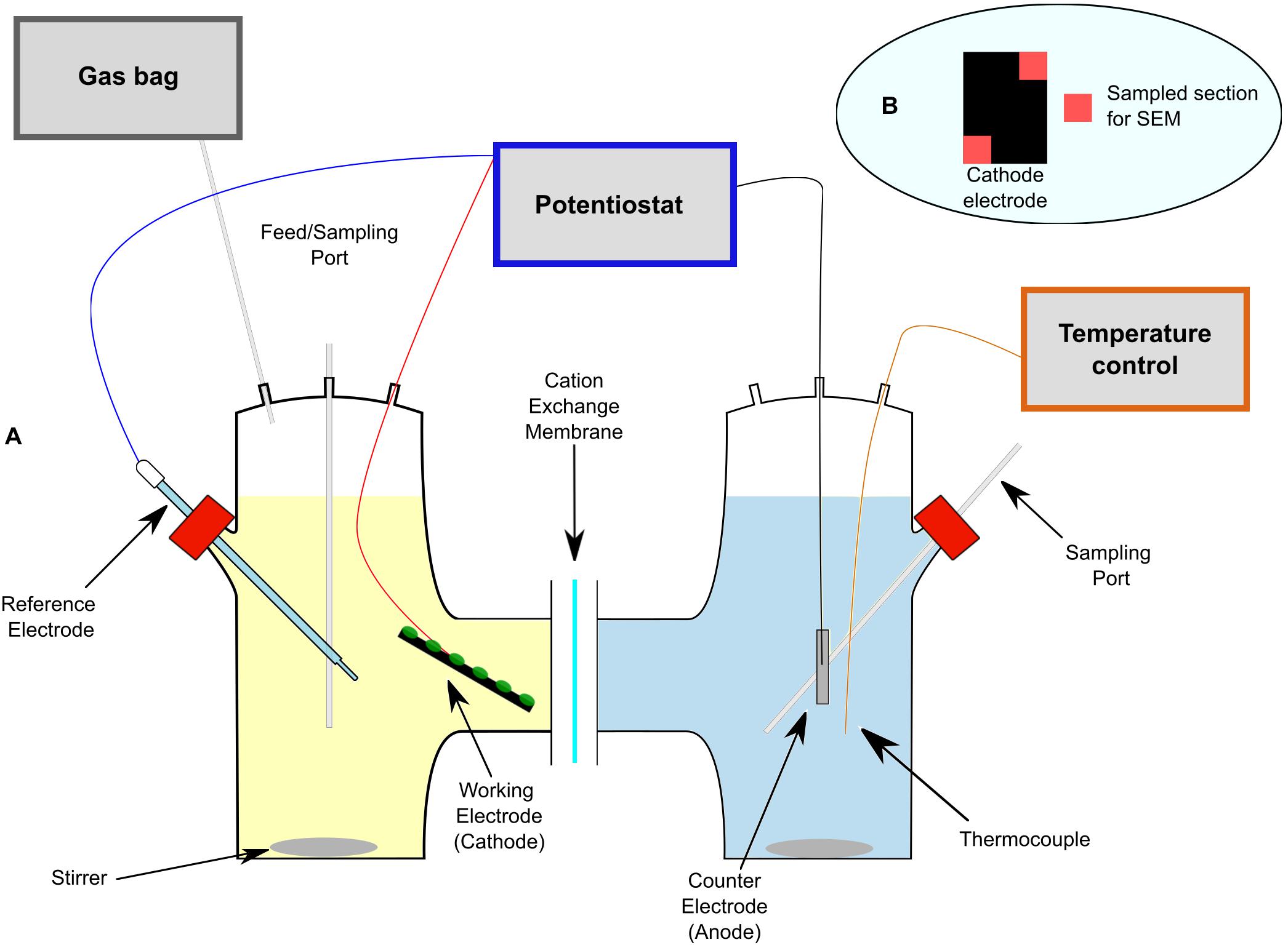 6 Pnl Structured 100% Poly