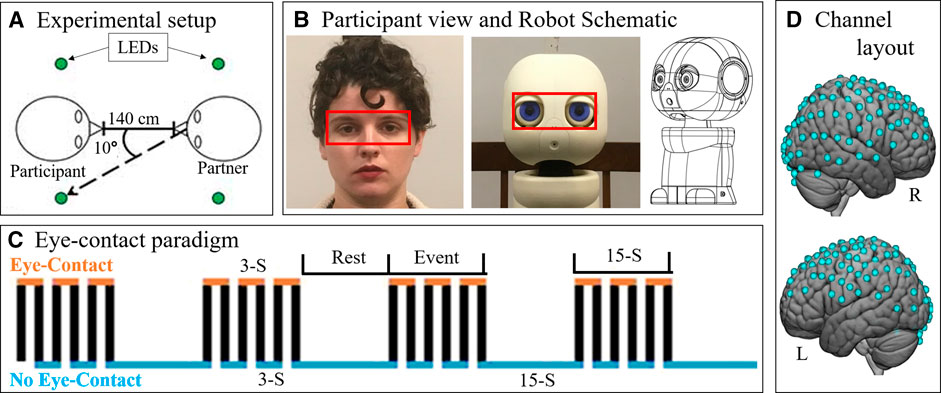 Humanoid robots make grand entry