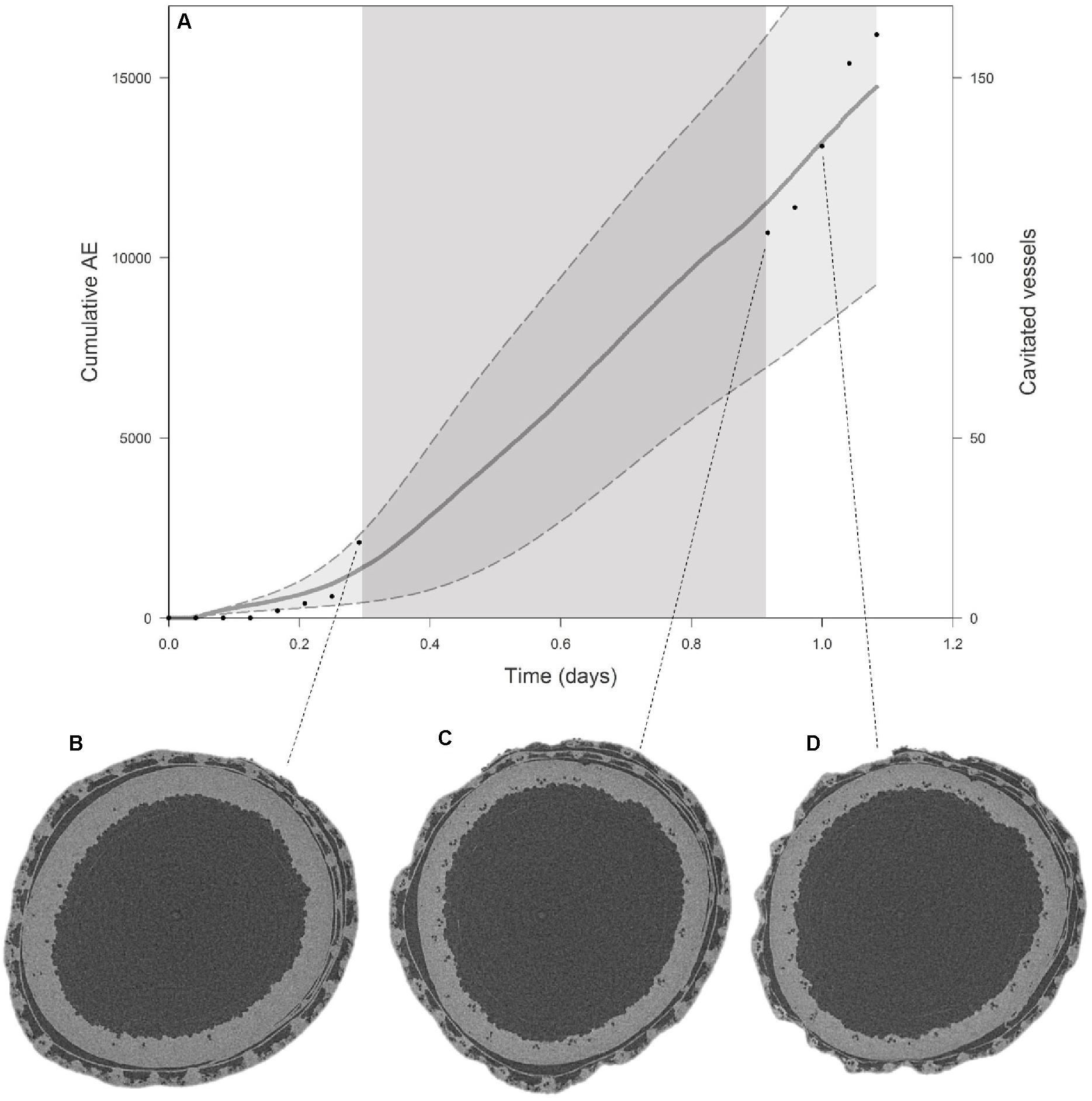 Segmented Grease Pencil curves - User Feedback - Developer Forum