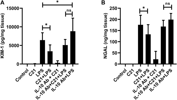 Revue sur les récepteurs de l'angiotensine II de type 2 (AT2R) publiée dans  le journal Pharmaceuticals. - UR 20218 NEURIT