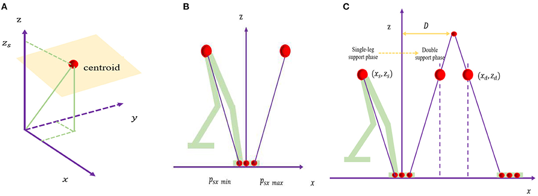 Frontiers  Gait Optimization Method for Humanoid Robots Based on