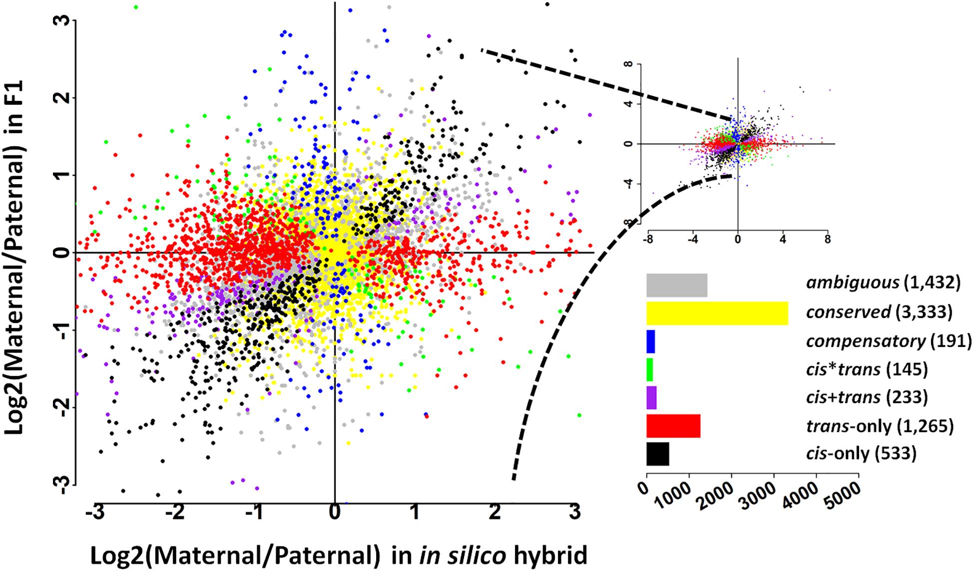 Whole-genome sequencing and intensive analysis of the undomesticated  soybean (Glycine soja Sieb. and Zucc.) genome