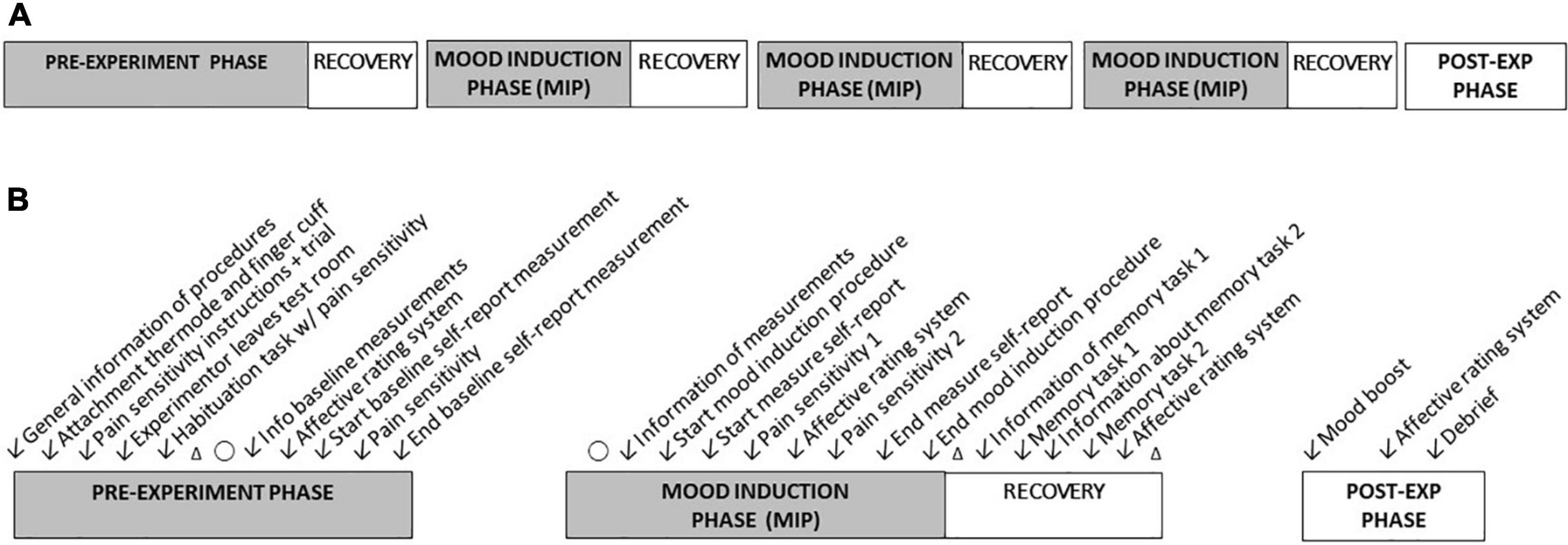 Unreliability of the visual analog scale in experimental pain assessment: a  sensitivity and evoked potentials study.