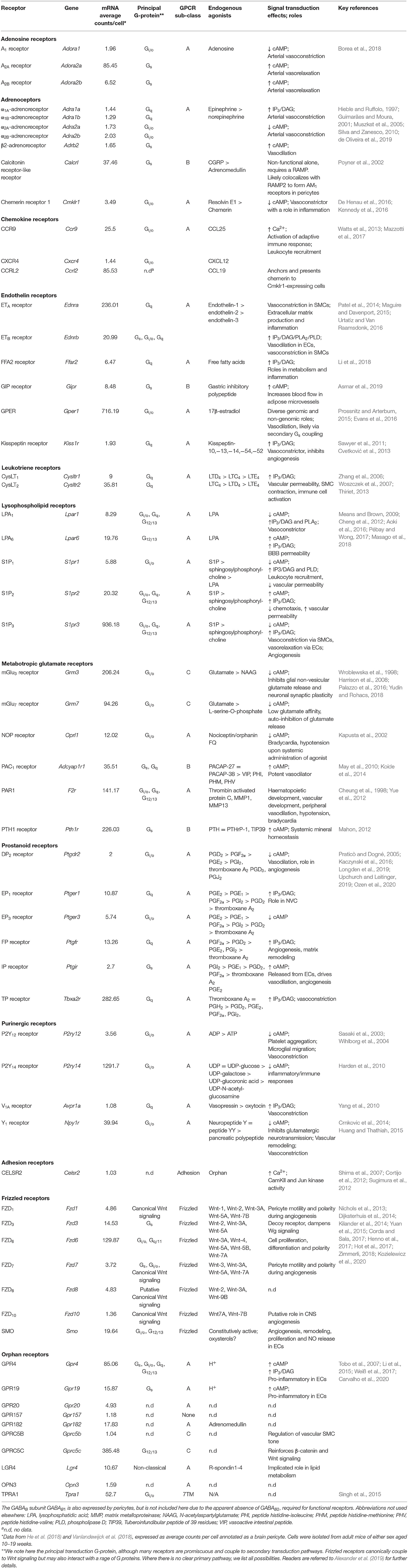 Frontiers The Ion Channel and GPCR Toolkit of Brain Capillary Pericytes