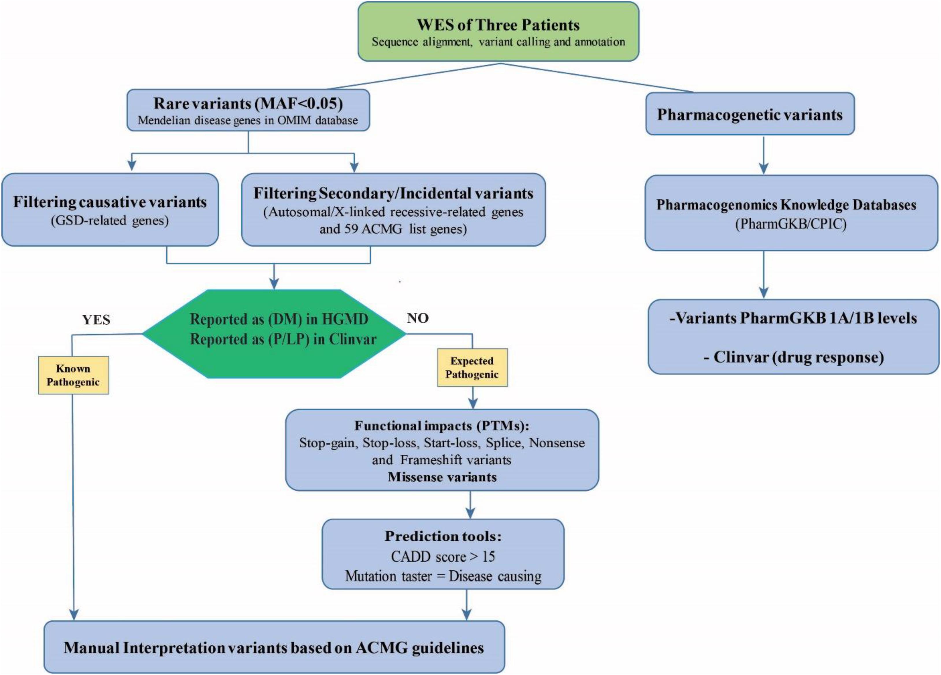 The Dual Career Family: A Variant Pattern and Social Change