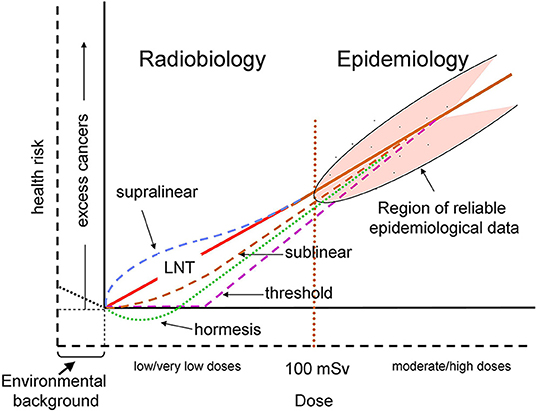 Index  Health Effects of Exposure to Low Levels of Ionizing