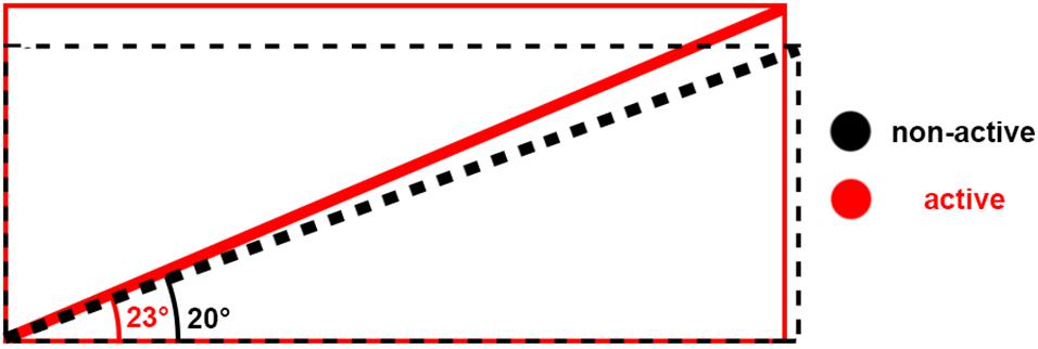 www.frontiersin.org