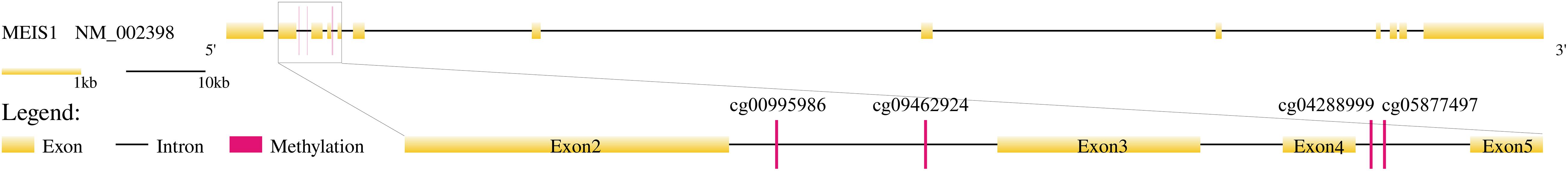www.frontiersin.org