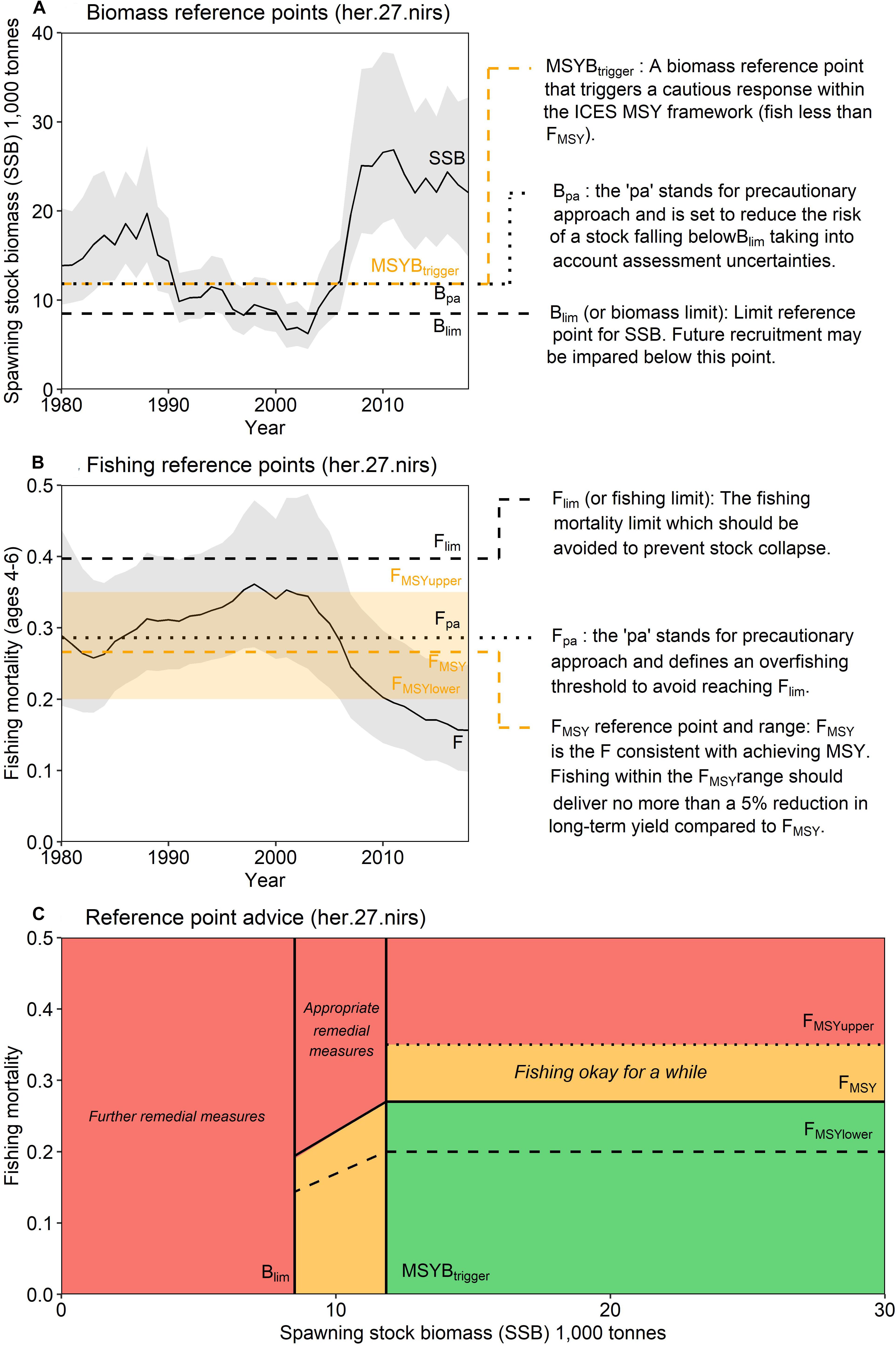 How should fishing mortality be distributed under balanced harvesting? -  ScienceDirect