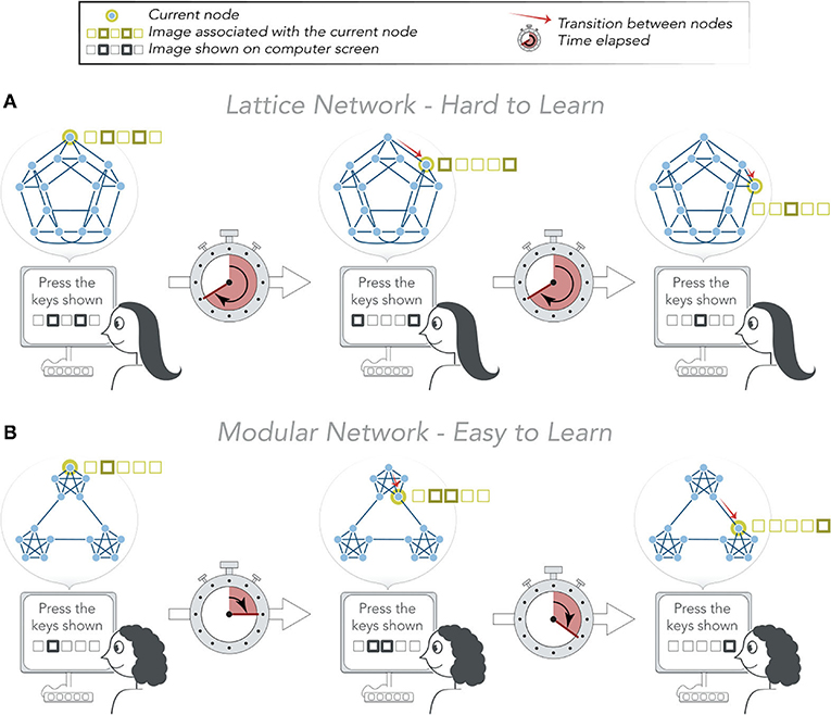 Figure 2 - Are some networks easier to learn?