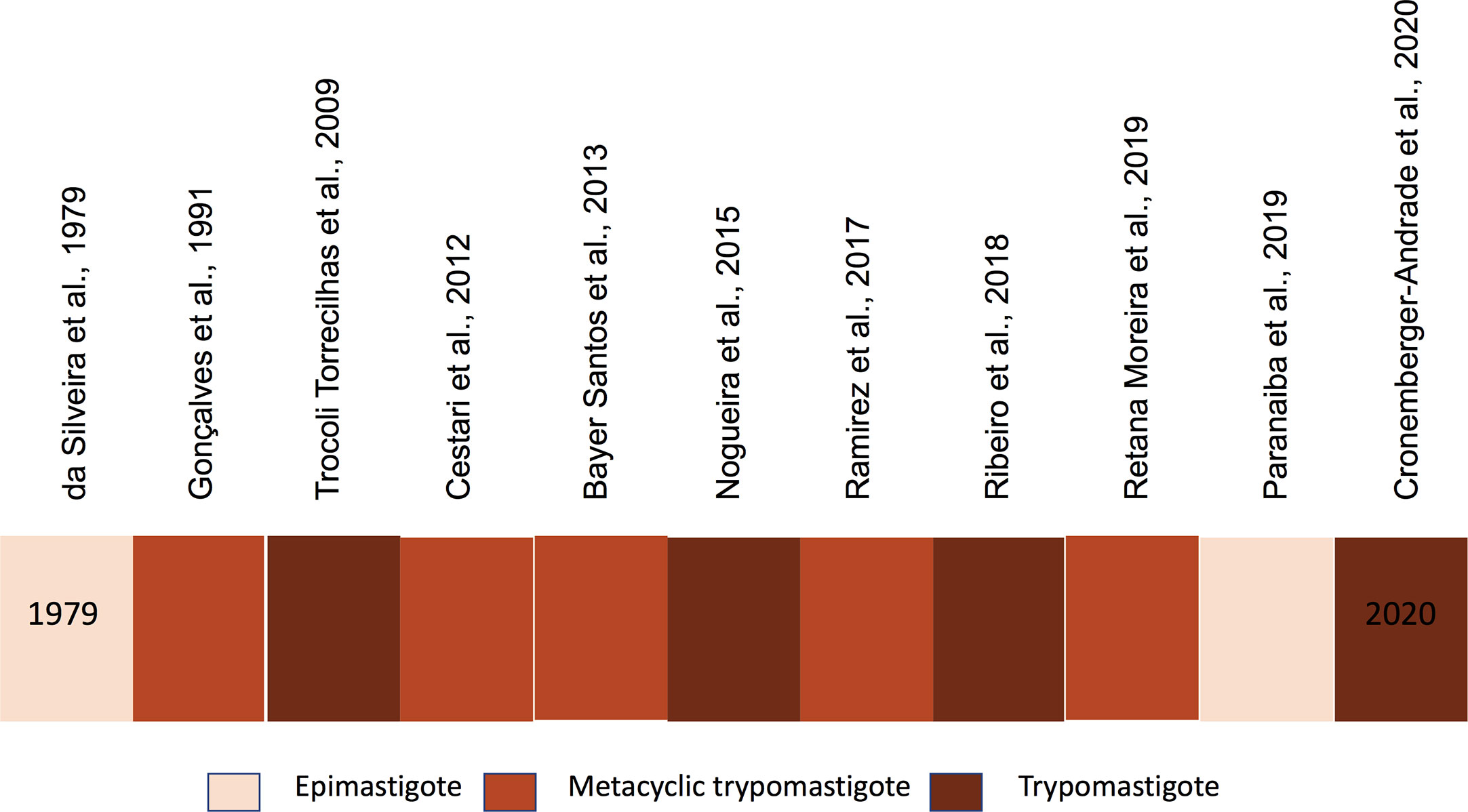 Frontiers  Comparative microRNA profiling of Trypanosoma cruzi infected  human cells