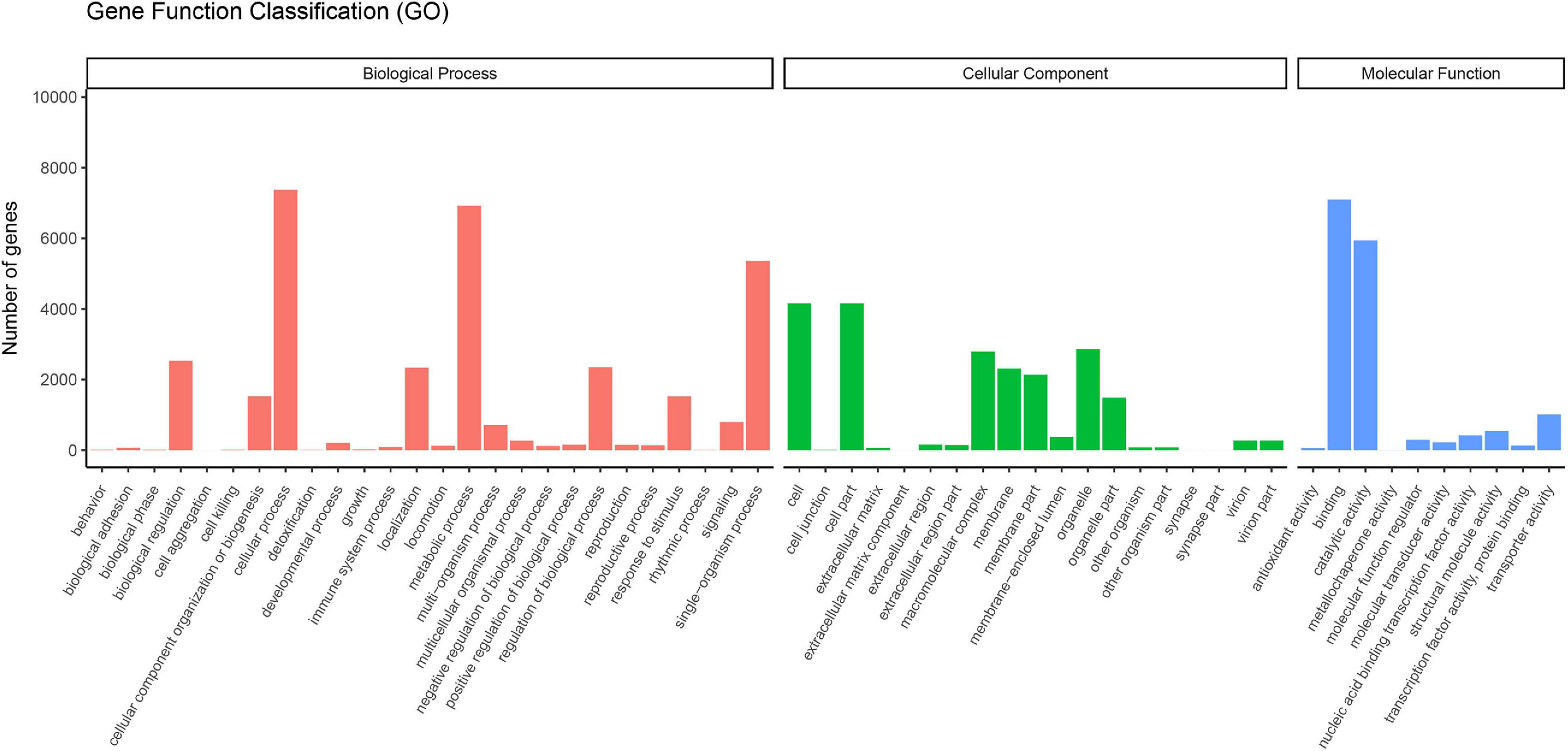 Frontiers | Transcriptome and Comparative Chloroplast Genome 