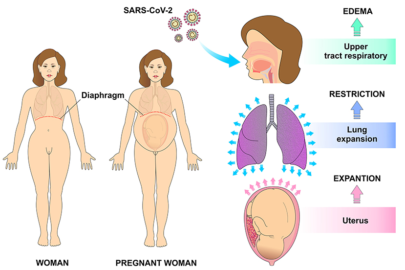 German pregnant wife wishes one greater quantity baby