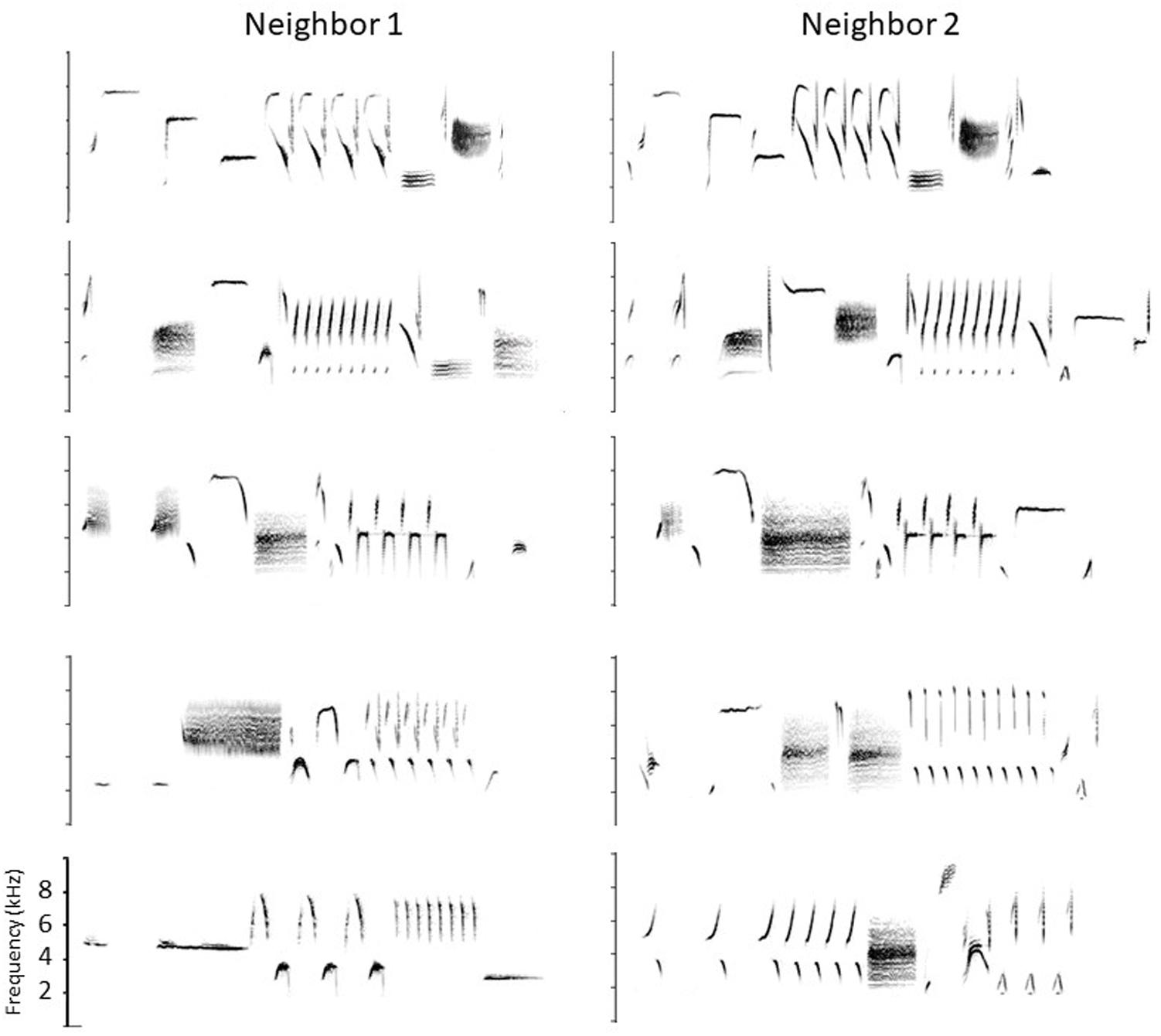 Frontiers Why Are No Animal Communication Systems Simple Languages Psychology