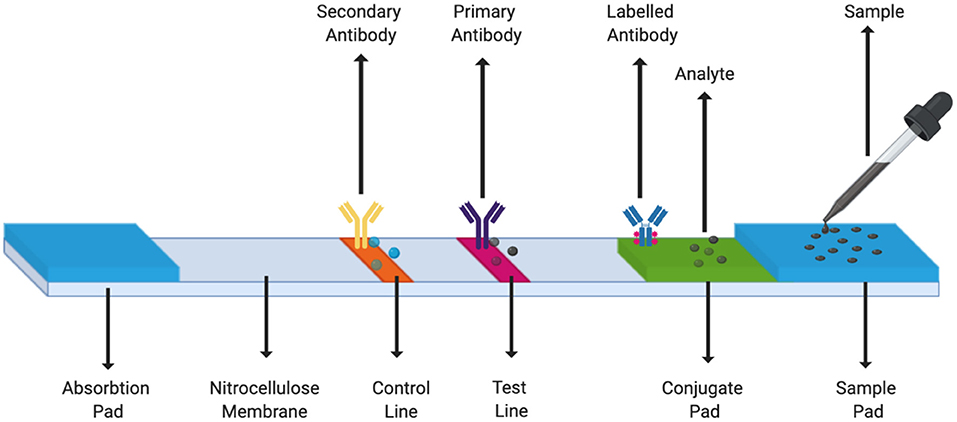 Using test c