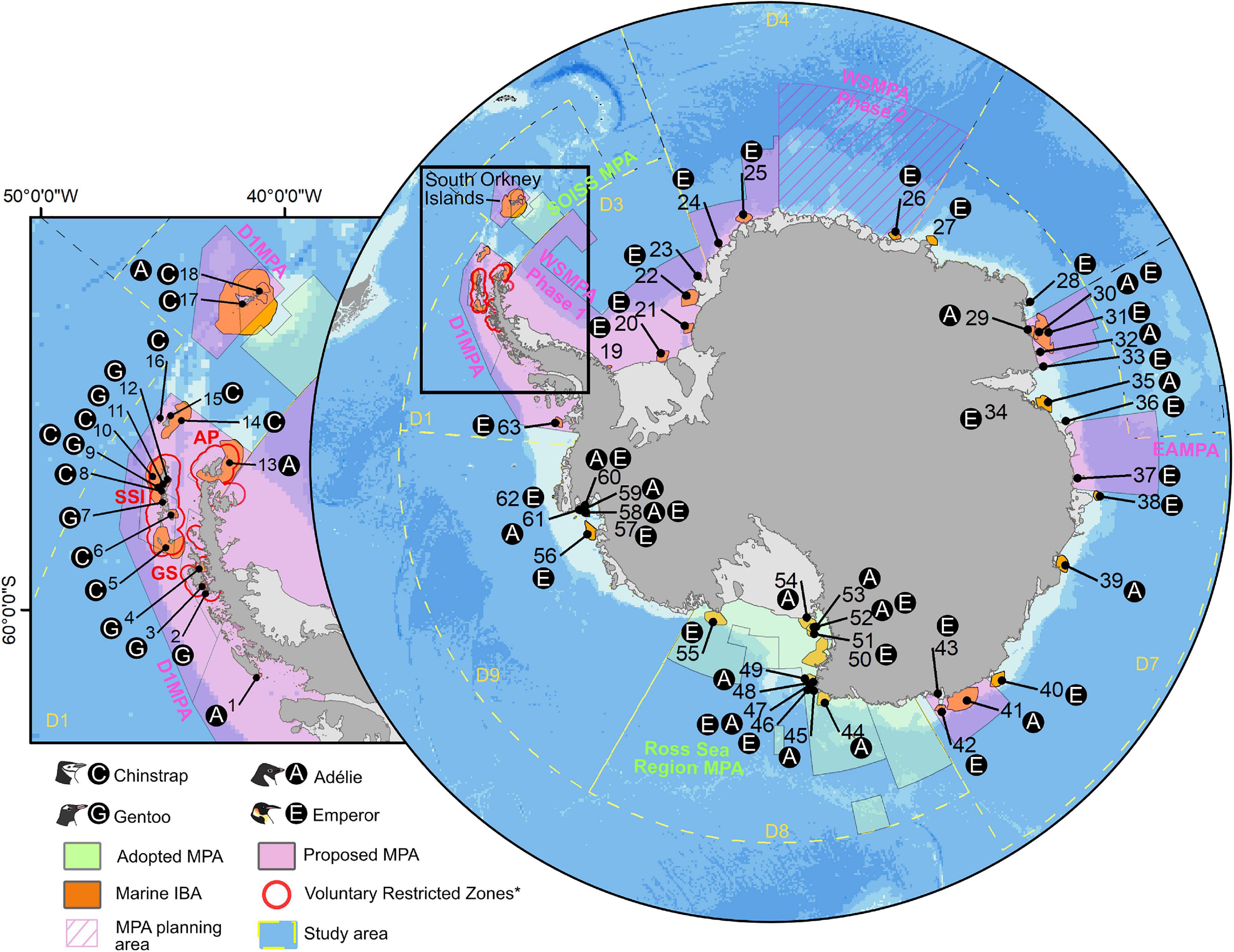 Frontiers | Marine Important Bird and Biodiversity Areas for Penguins in Antarctica, Targets for Conservation Action | Science