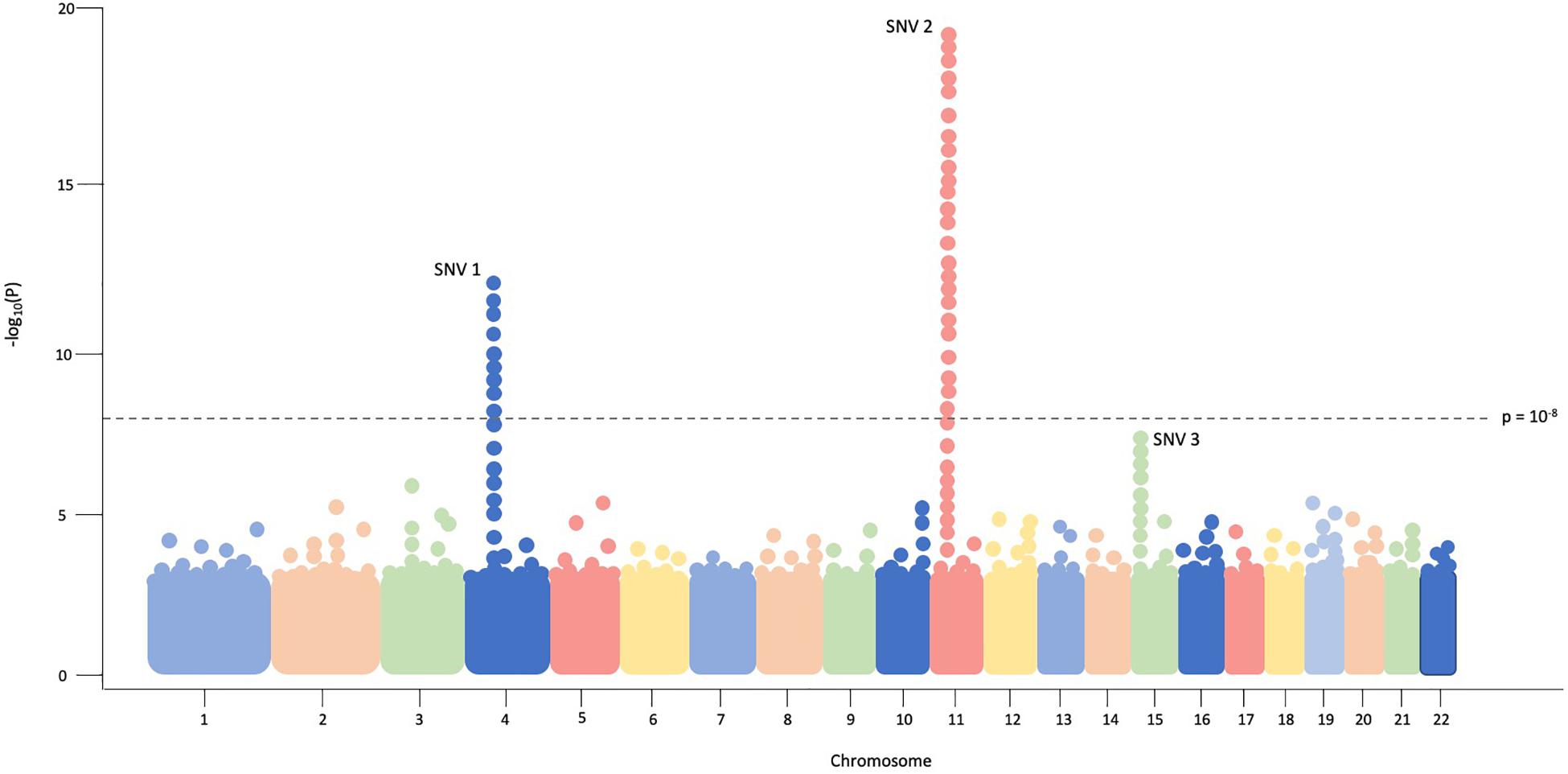 Frontiers  A Genome-Wide Association Study Identifies Candidate