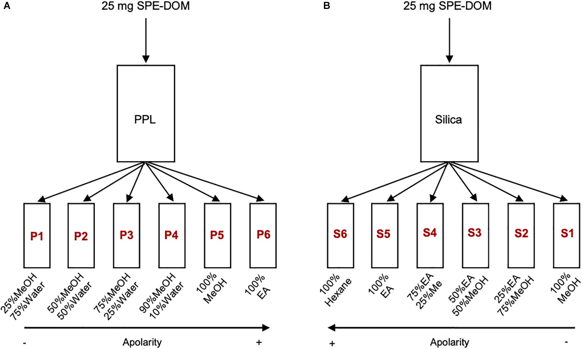 Frontiers  Antioxidant Activity and Phenolic Content of Marine Dissolved  Organic Matter and Their Relation to Molecular Composition