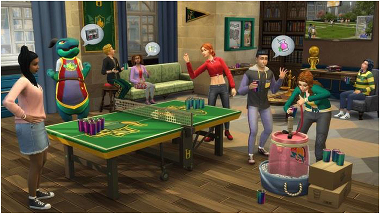 Figure 3 - Computer simulation for developing emotional intelligence.