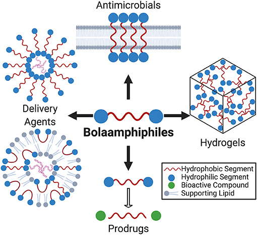 Bolaamphiphiles  Chemical Reviews