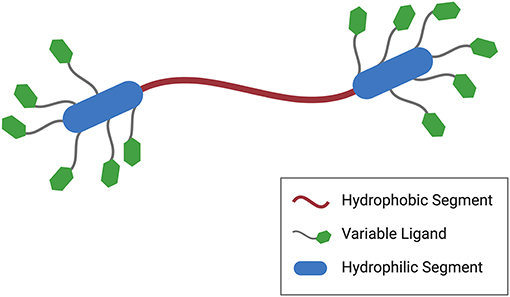 Bolaamphiphiles  Chemical Reviews