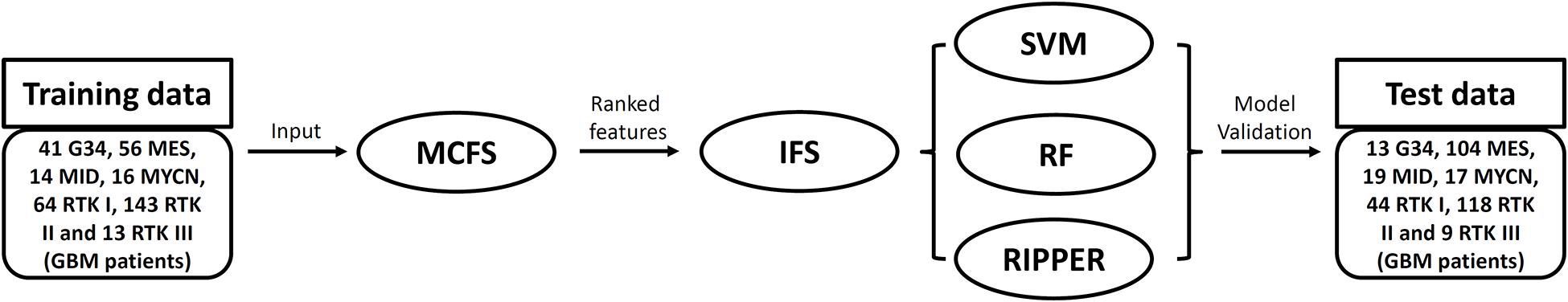 www.frontiersin.org