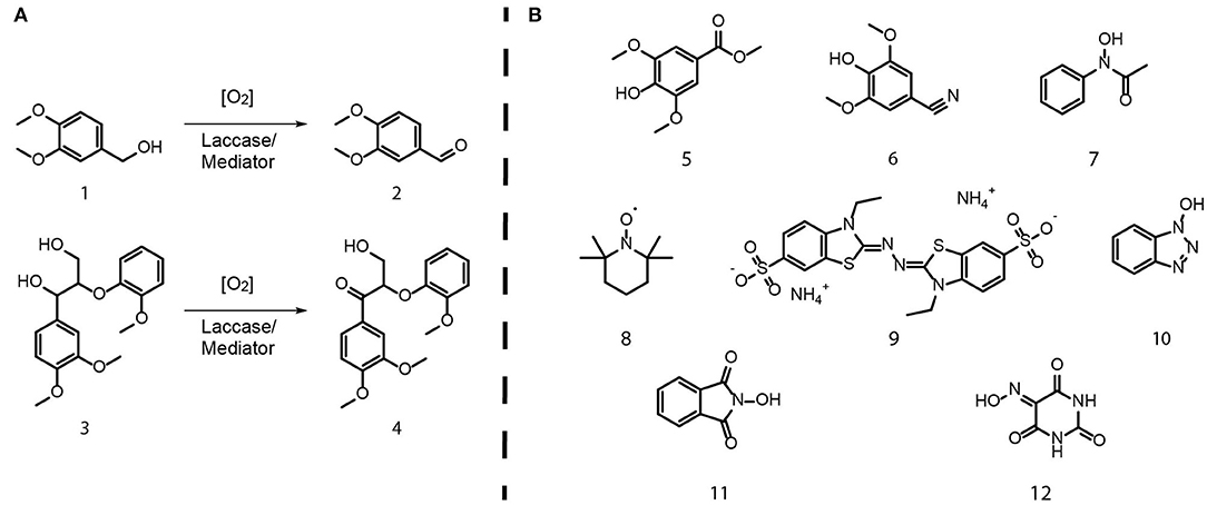 Frontiers Applicability Of Recombinant Laccases From The White Rot Fungus Obba Rivulosa For Mediator Promoted Oxidation Of Biorefinery Lignin At Low Ph Bioengineering And Biotechnology