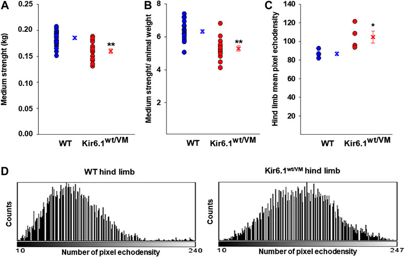 Frontiers  KATP channel mutations in congenital hyperinsulinism