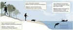 www.frontiersin.org