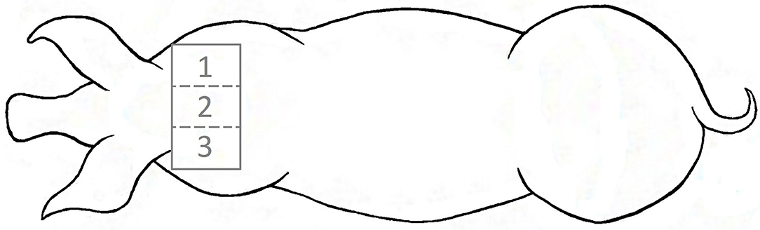 www.frontiersin.org