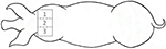 www.frontiersin.org