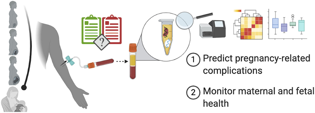 Fetal genome profiling at 5 weeks of gestation after noninvasive