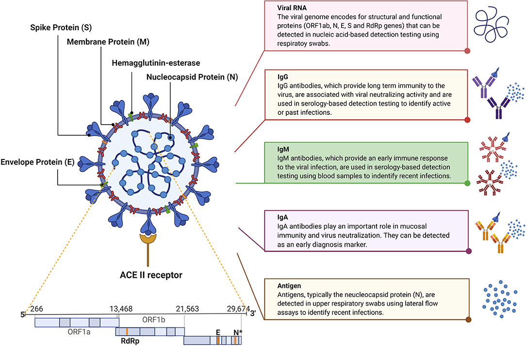 Diagnostics and analysis of SARS-CoV-2: current status, recent