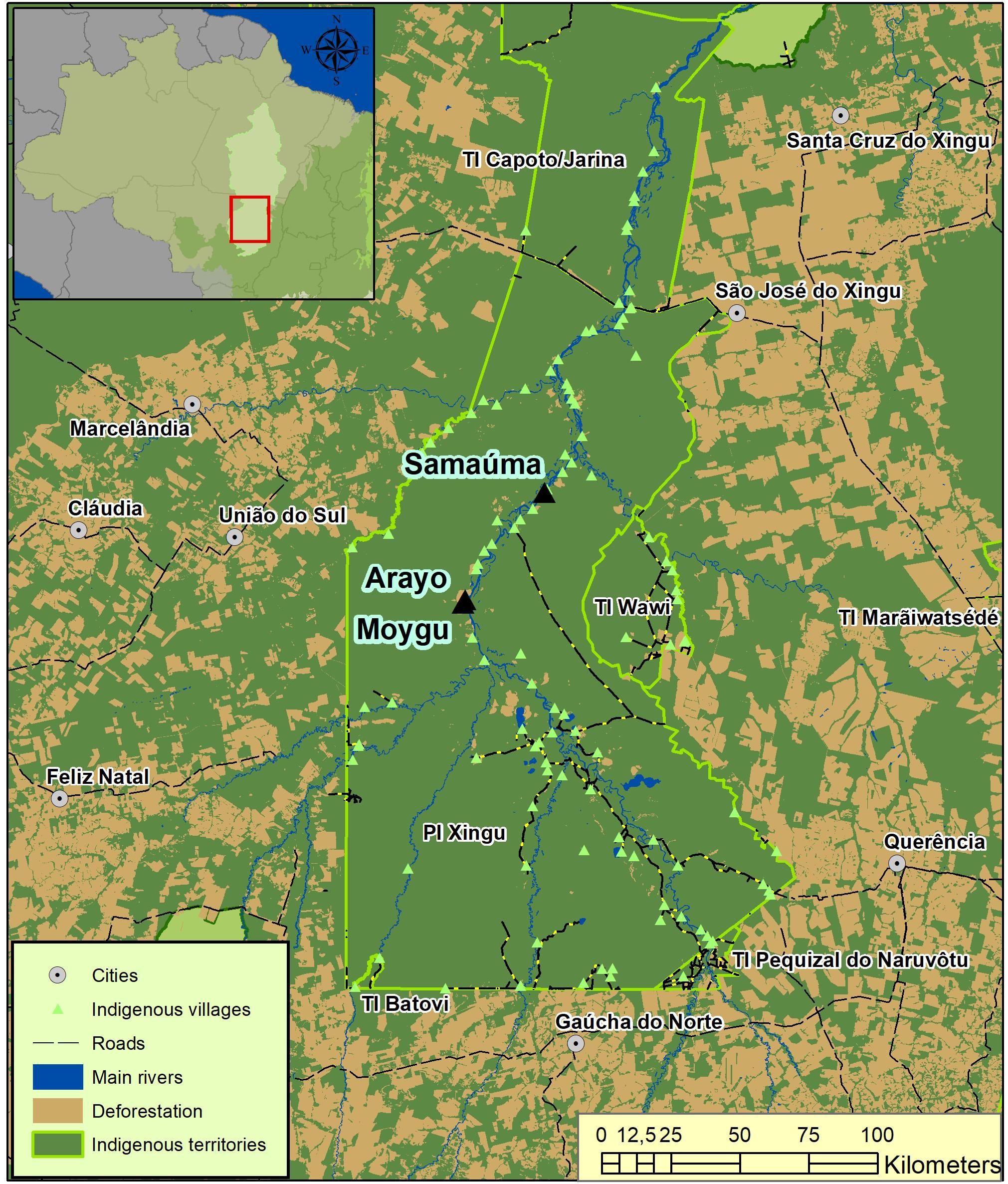 Frontiers | Indigenous Knowledge and Forest Succession Management in the  Brazilian Amazon: Contributions to Reforestation of Degraded Areas