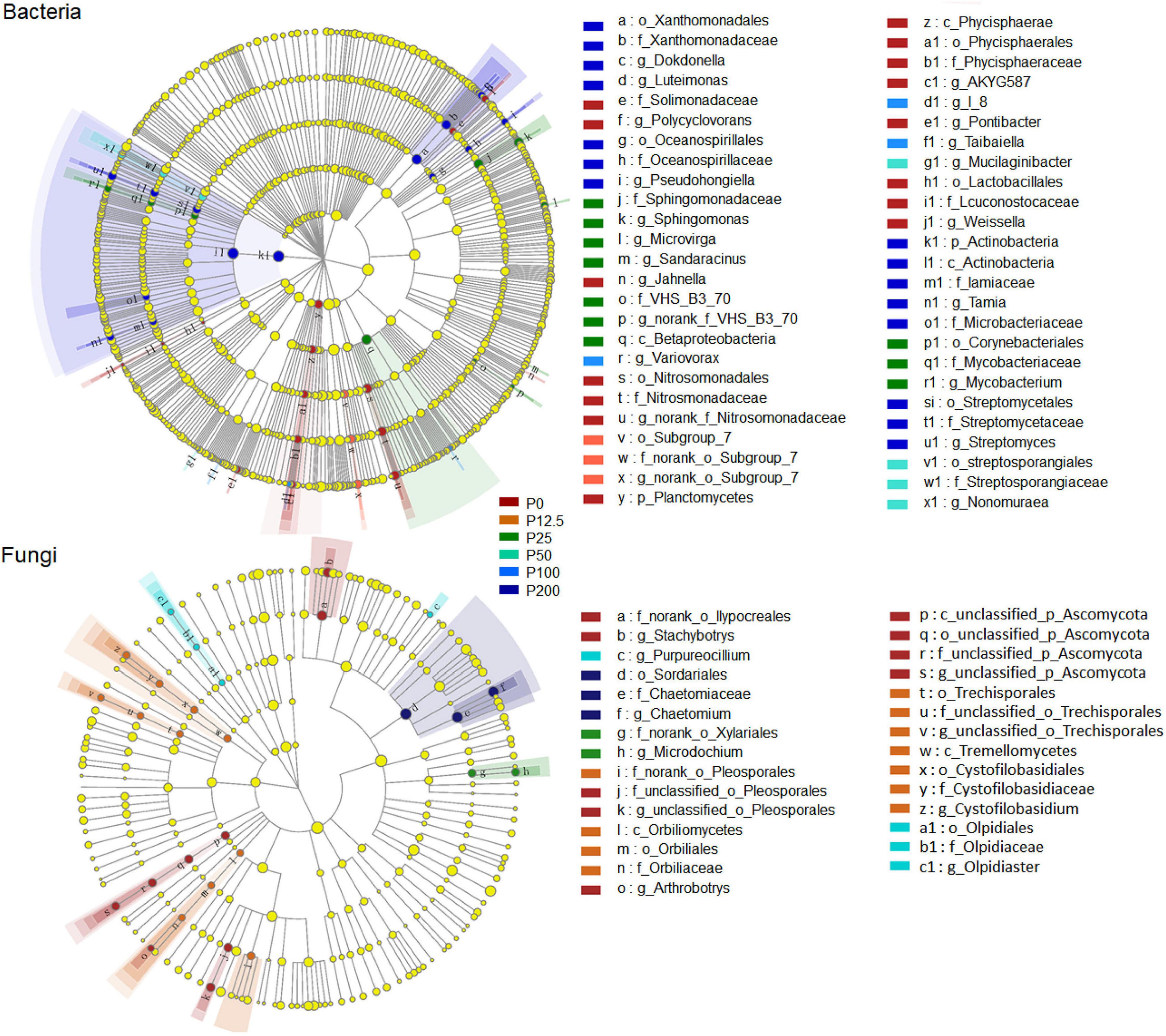Frontiers Soil Microbial Composition And Phod Gene Abundance Are Sensitive To Phosphorus Level In A Long Term Wheat Maize Crop System Microbiology