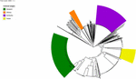 www.frontiersin.org