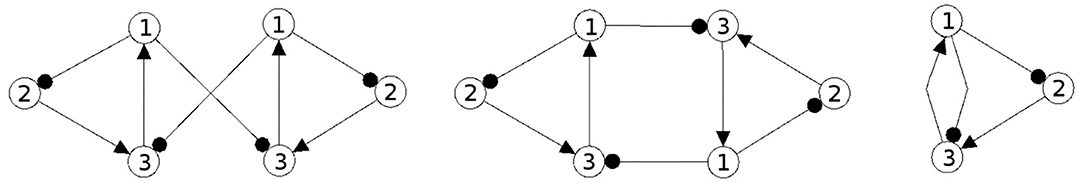 www.frontiersin.org