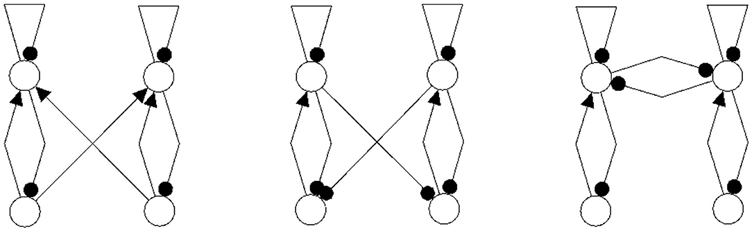 www.frontiersin.org