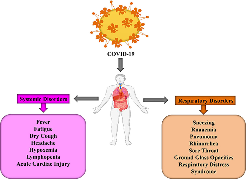 Frontiers Fighting Strategies Against The Novel Coronavirus Pandemic Impact On Global Economy