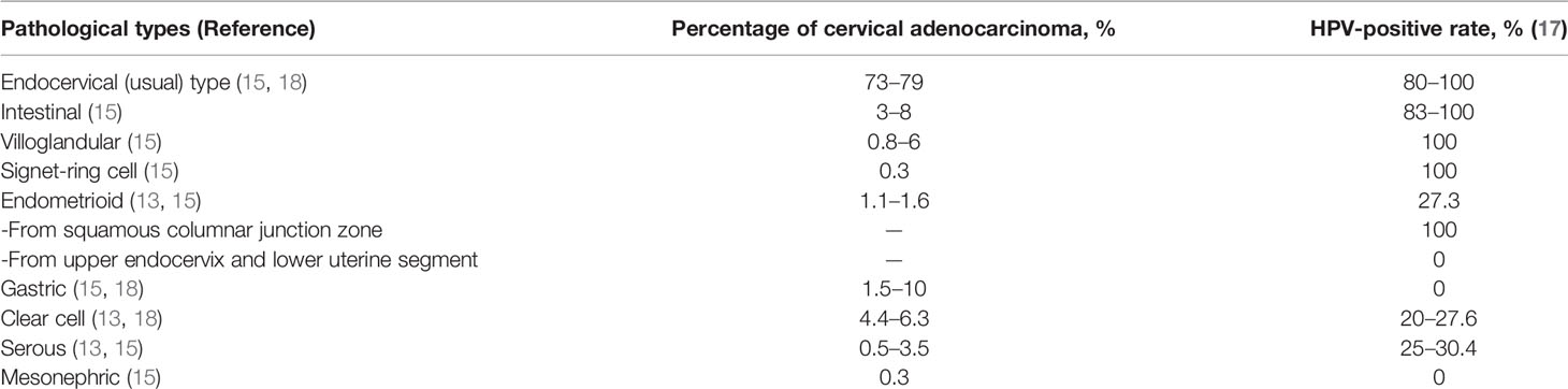 hpv pcr negatív)