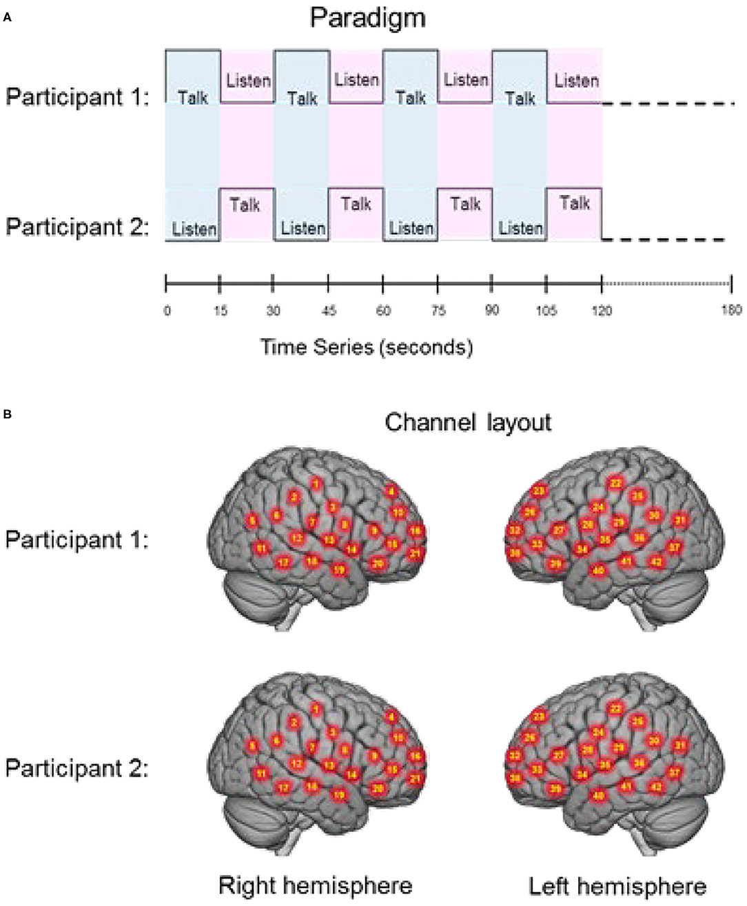 Frontiers  Interpersonal Agreement and Disagreement During Face-to-Face  Dialogue: An fNIRS Investigation