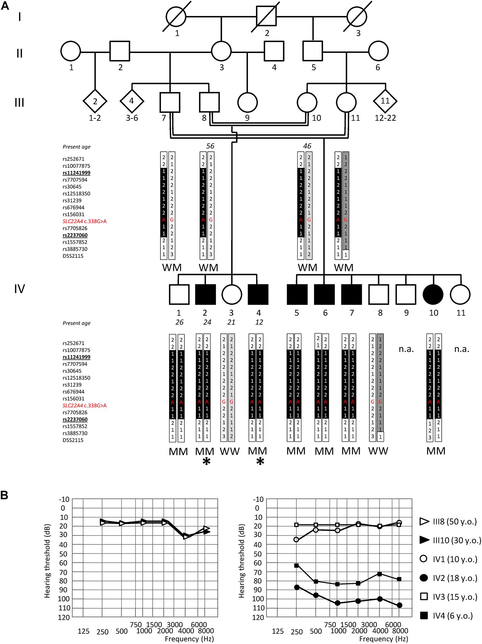 In Autosomal Dominant Inheritance Aspx Article Id