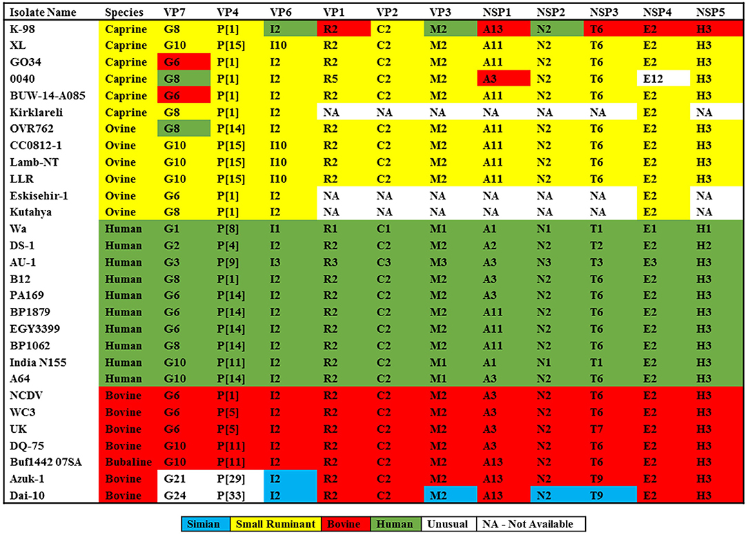 Phylogenetic analysis of bat betacoronavirus (A) and bat rotavirus (RV)