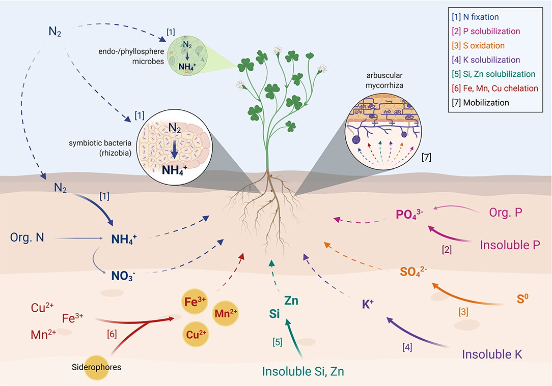 Microbial applications for sustainable space exploration beyond