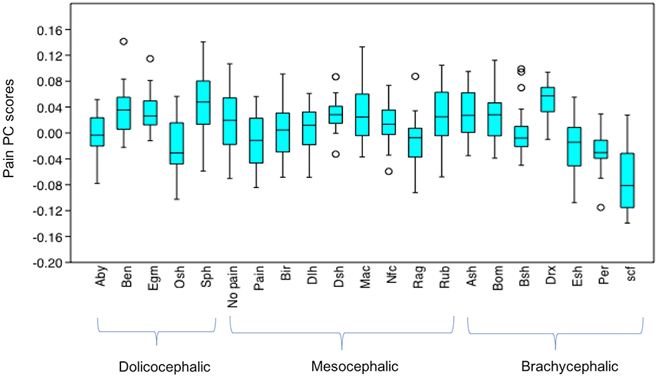 Frontiers The Application Of Geometric Morphometrics To Explore Potential Impacts Of Anthropocentric Selection On Animals Ability To Communicate Via The Face The Domestic Cat As A Case Study Veterinary Science