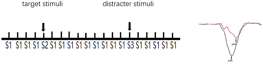 www.frontiersin.org