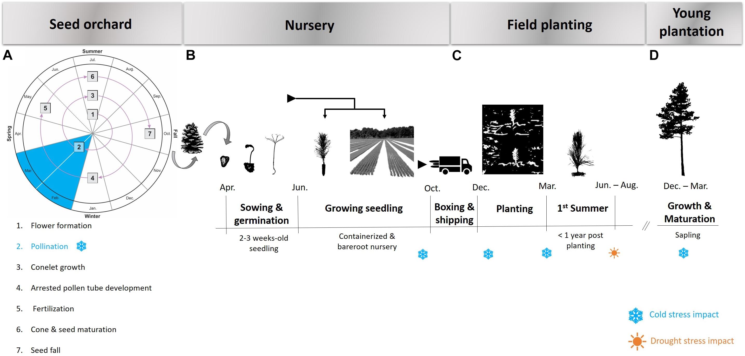 Frontiers  Breeding for Climate Change Resilience: A Case Study