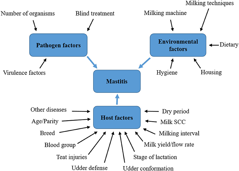 Frontiers | Maintaining Optimal Mammary Gland Health and Prevention of  Mastitis