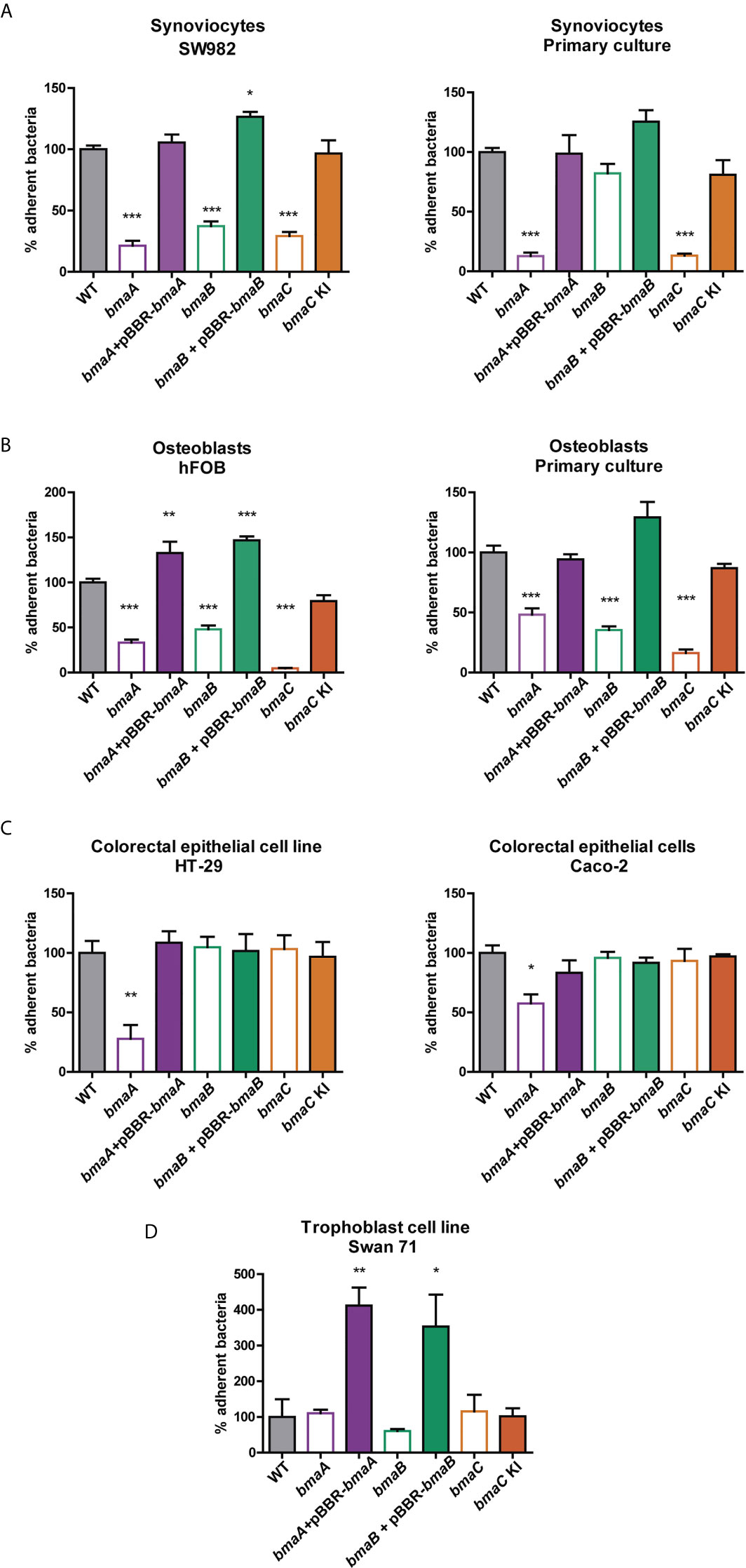 From self sufficiency to dependence: mechanisms and factors important for  autotransporter biogenesis